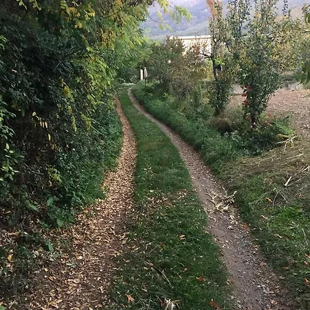 Mazzicanino