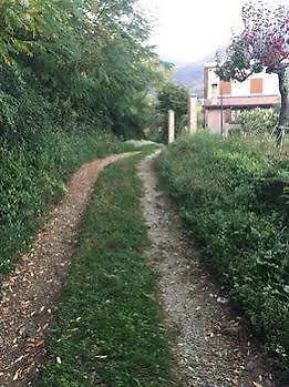 Mazzicanino *